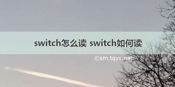 switch怎么读 switch如何读