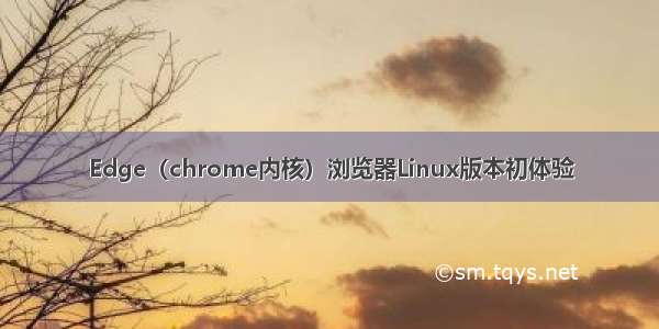 Edge（chrome内核）浏览器Linux版本初体验