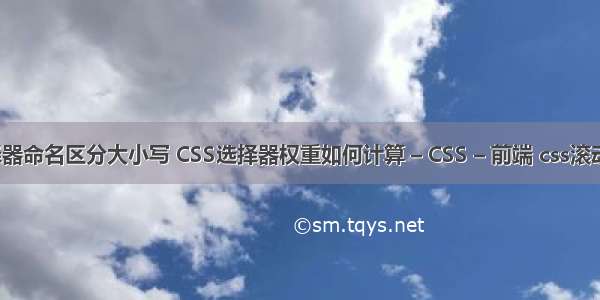 css选择器命名区分大小写 CSS选择器权重如何计算 – CSS – 前端 css滚动条变细