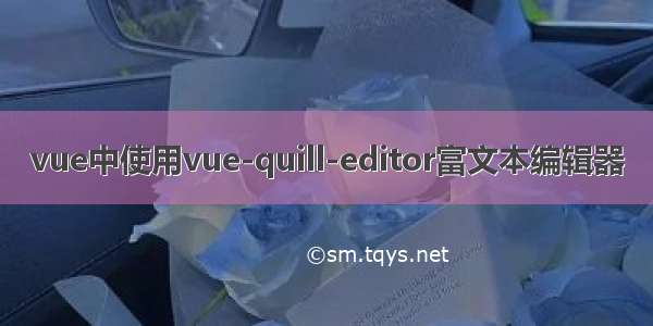 vue中使用vue-quill-editor富文本编辑器