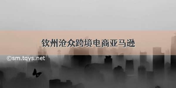 钦州沧众跨境电商亚马逊