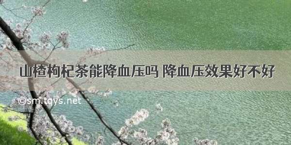 山楂枸杞茶能降血压吗 降血压效果好不好