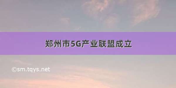 郑州市5G产业联盟成立