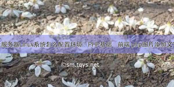 阿里云服务器Linux系统怎么配置环境 – PHP基础 – 前端 php图片添加文字居中