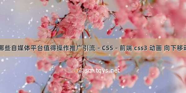 哪些自媒体平台值得操作推广引流 – CSS – 前端 css3 动画 向下移动