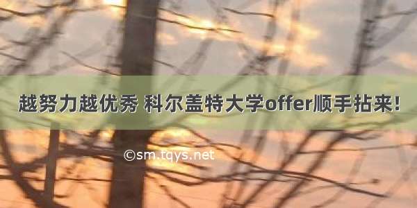 越努力越优秀 科尔盖特大学offer顺手拈来!