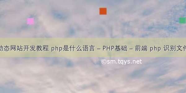 php动态网站开发教程 php是什么语言 – PHP基础 – 前端 php 识别文件格式
