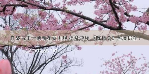 肖战与王一博新花絮再现 提及游泳 《陈情令》热度仍在！