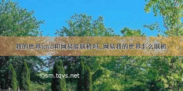 我的世界java和网易能联机吗_网易我的世界怎么联机