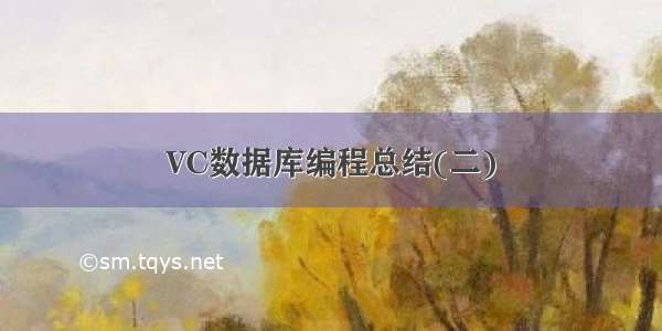 VC数据库编程总结(二)