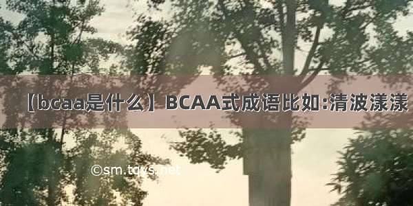 【bcaa是什么】BCAA式成语比如:清波漾漾