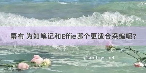 幕布 为知笔记和Effie哪个更适合采编呢？