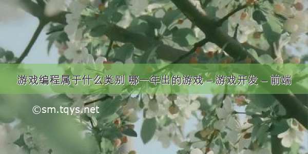 游戏编程属于什么类别 哪一年出的游戏 – 游戏开发 – 前端