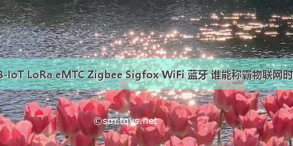 NB-IoT LoRa eMTC Zigbee Sigfox WiFi 蓝牙 谁能称霸物联网时代？