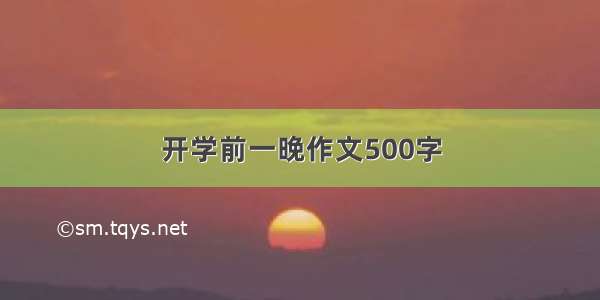 开学前一晚作文500字