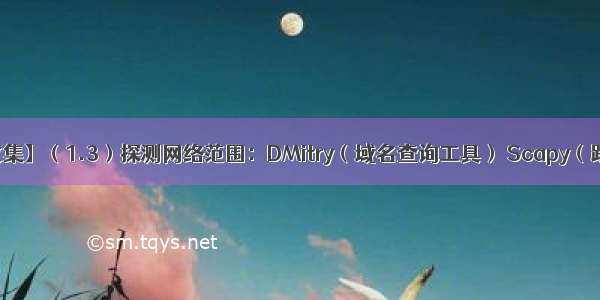 【kali-信息收集】（1.3）探测网络范围：DMitry（域名查询工具） Scapy（跟踪路由工具）