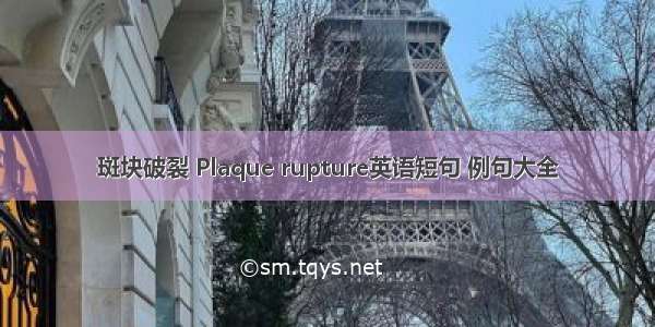 斑块破裂 Plaque rupture英语短句 例句大全