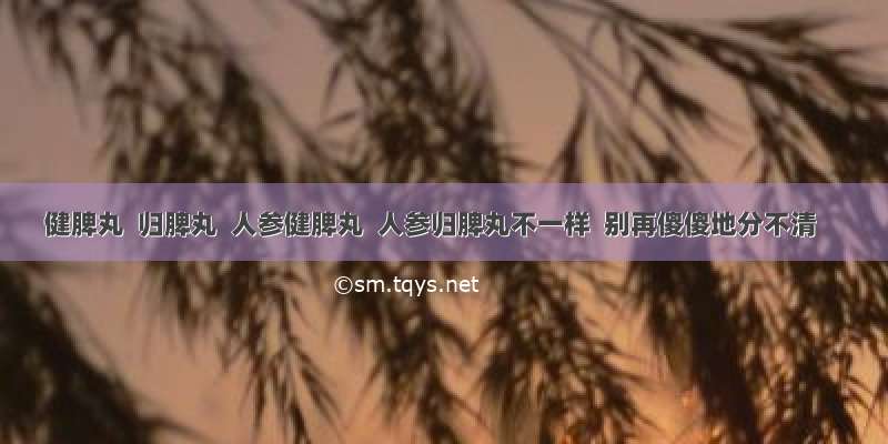 健脾丸  归脾丸  人参健脾丸  人参归脾丸不一样  别再傻傻地分不清