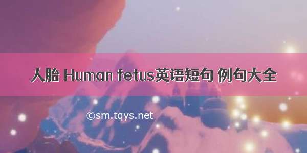 人胎 Human fetus英语短句 例句大全