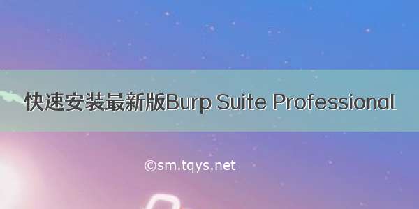 快速安装最新版Burp Suite Professional