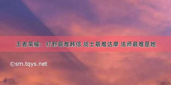 王者荣耀：打野最难韩信 战士最难达摩 法师最难是她