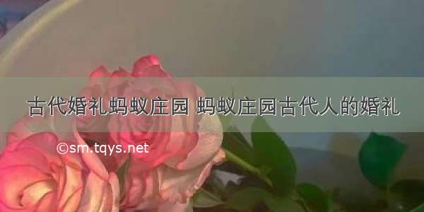 古代婚礼蚂蚁庄园 蚂蚁庄园古代人的婚礼