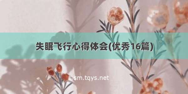 失眠飞行心得体会(优秀16篇)