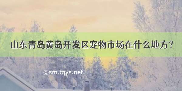 山东青岛黄岛开发区宠物市场在什么地方？