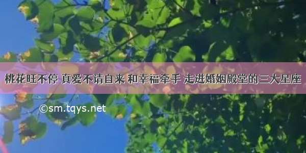 桃花旺不停 真爱不请自来 和幸福牵手 走进婚姻殿堂的三大星座