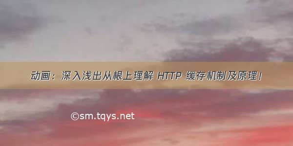 动画：深入浅出从根上理解 HTTP 缓存机制及原理！