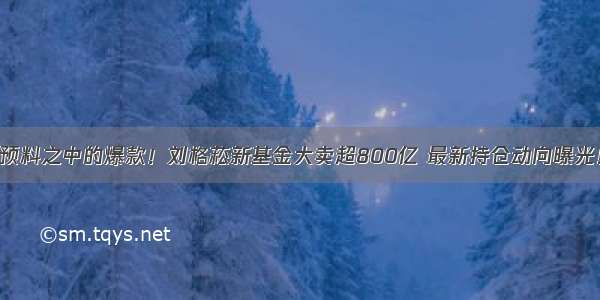 预料之中的爆款！刘格菘新基金大卖超800亿 最新持仓动向曝光！