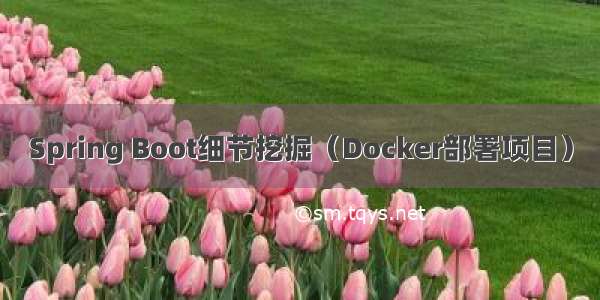 Spring Boot细节挖掘（Docker部署项目）