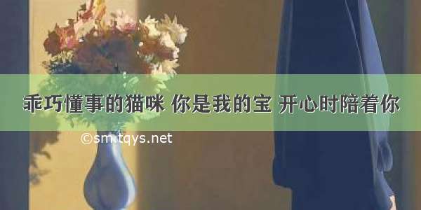 乖巧懂事的猫咪 你是我的宝 开心时陪着你