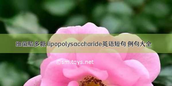 细菌脂多糖 lipopolysaccharide英语短句 例句大全