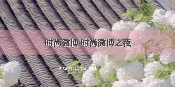 时尚微博 时尚微博之夜