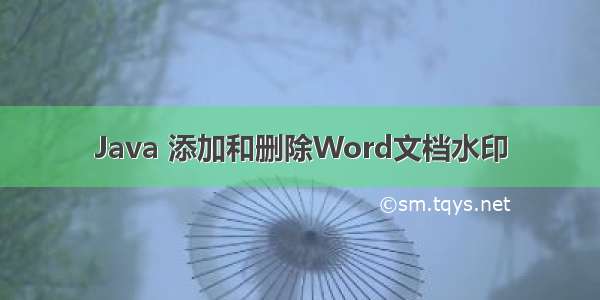 Java 添加和删除Word文档水印