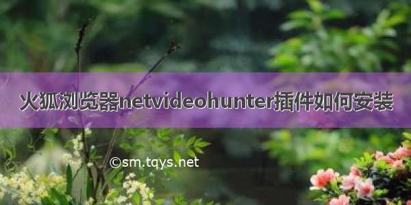 火狐浏览器netvideohunter插件如何安装