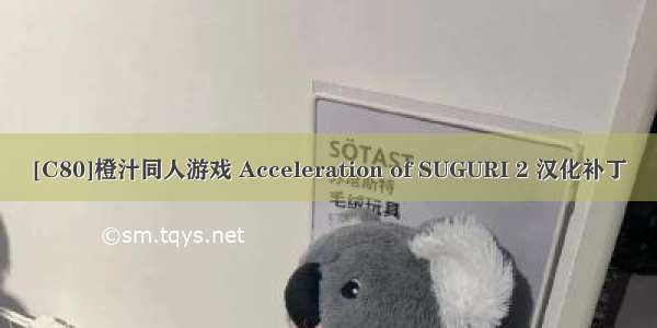 [C80]橙汁同人游戏 Acceleration of SUGURI 2 汉化补丁