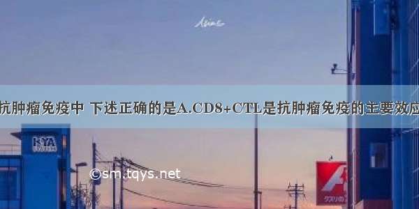 在细胞介导的抗肿瘤免疫中 下述正确的是A.CD8+CTL是抗肿瘤免疫的主要效应细胞B.CTL杀