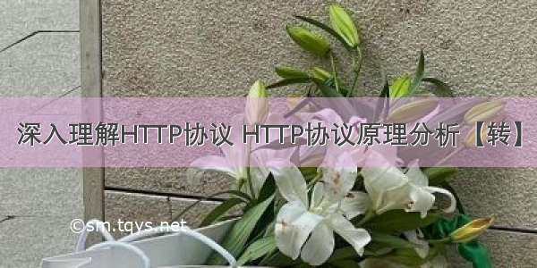 深入理解HTTP协议 HTTP协议原理分析【转】