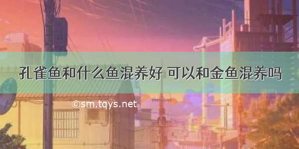 孔雀鱼和什么鱼混养好 可以和金鱼混养吗