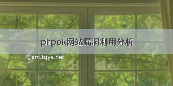 phpok网站漏洞利用分析