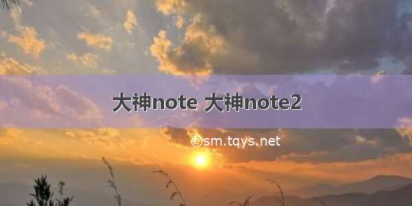 大神note 大神note2