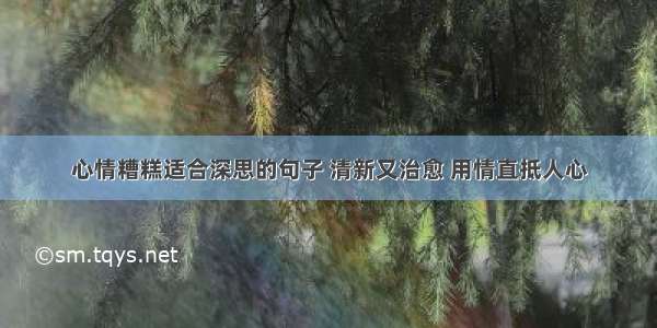 心情糟糕适合深思的句子 清新又治愈 用情直抵人心