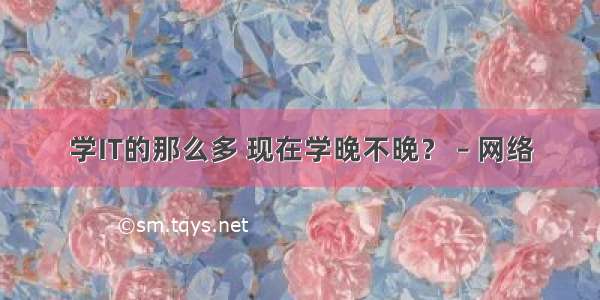 学IT的那么多 现在学晚不晚？ – 网络