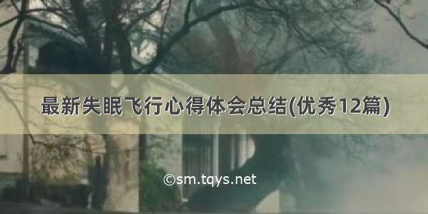 最新失眠飞行心得体会总结(优秀12篇)