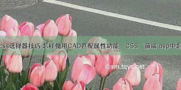 你应该知道css选择器技巧 怎样使用CAD匹配属性功能 – CSS – 前端 asp中怎么使用css