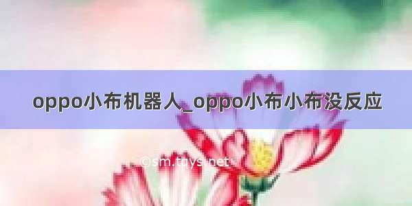 oppo小布机器人_oppo小布小布没反应