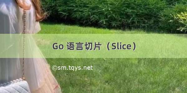 Go 语言切片（Slice）
