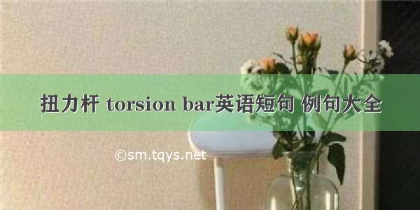 扭力杆 torsion bar英语短句 例句大全